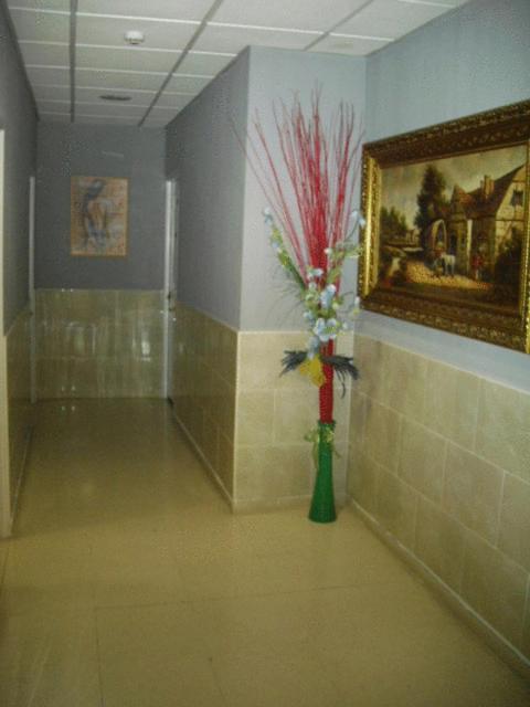 Hostal Ds 벨리라데산안토니오 외부 사진